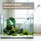 thumbnail image 5 of Kit cambiador de agua al vacío con sifón para acuarios Carefree Fish, de 3 a 10 galones, 5 of 7
