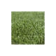 thumbnail image 4 of Pasto Sintetico 25mm  1x2 Metros, 4 of 4