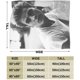 thumbnail image 3 of Stefan Salvatore Fleece Blanket Throw Blanket Lightweight Super Soft Cozy Luxury Bed Blanket Microfiber X in, 3 of 5