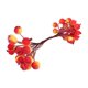 thumbnail image 2 of Arreglo Floral De Bayas De Acebo Artificiales Escarchadas Para Hacer Tú Mismo En Invierno Con 40 Cabezas En Naranja Y Amarillo, 2 of 5