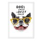 thumbnail image 1 of Cuadro Dogs Smile con Marco Blanco 50x40 CM, 1 of 1