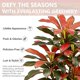 thumbnail image 3 of Árbol Artificial FSOHOI 183 cm Dracaena Roja para Interiores, 3 of 9
