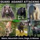 thumbnail image 2 of Spray contra osos GRIZ GUARD 237 ml Alcance 12 m Registrado por la EPA, 2 of 8