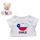 thumbnail image 1 of Polera Chile Build-a-bear, 1 of 2