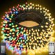 thumbnail image 1 of Guirnalda LED Pooqla 200 LED 66 ft 20 m multicolor con mando, 1 of 3