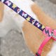 thumbnail image 3 of Dashi Unicorn Leash Medium, 3 of 3