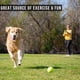 thumbnail image 5 of Lanzador de bolas para perros Hyper Pet K9 Kannon para perros de 27 kg, 5 of 8