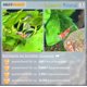 thumbnail image 4 of Sal mineral para acuario SALTYSHRIMP Sulawesi 110 g, 4 of 7