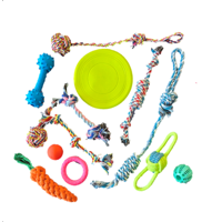 Genérico - Set 13 Juguetes Mascotas Perro Pelota Dental, Cuerdas, Nudos