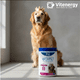 thumbnail image 4 of Condroprotector y Glucosamina para Perros Grandes Artripet en Polvo, 4 of 6