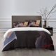 thumbnail image 1 of Spy X Family Bedding Sets Bed Cartoon Duvet Cover Lightweight 3 Piece Bet Sets for Kids Boys Girls, 1 of 5
