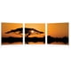 thumbnail image 1 of Set de impresión fotográfica Baxton Studio PM-0134ABC Savannah Sunset, 1 of 1