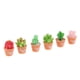 thumbnail image 5 of Mini Plantas Suculentas Artificiales, Bonito Cactus De Resina Con Maceta Especial, 6 Uds., 5 of 5