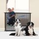 thumbnail image 2 of Cupount Dog Screen Mesh Gate for House, Stairs and Doorways, 2 of 3
