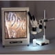 thumbnail image 5 of Microscopio Estéreo Binocular AmScope SW-3B13Z-FRL 10X-60X 110V, 5 of 9