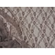 thumbnail image 1 of Encaje Elástico Transparente Con Estampado Floral Color Marrón 147 Cm De Ancho, 1 of 1