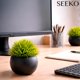 thumbnail image 5 of Plantas artificiales SEEKO suculentas 17 cm (2 unidades) macetas negras, 5 of 6