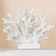 thumbnail image 1 of Estatua de coral Coral Decor Elegondrar de resina blanca de 14,8 cm, 1 of 3