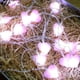 thumbnail image 1 of 10pcs/20pcs, LED Fairy Tale Lights Romantic Love Heart String Lights For Home Birthday Party Wedding Decoration, 1 of 3
