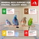 thumbnail image 3 of Grava para palomas Morning Bird Healthy Nutritious 2.04 kg (paquete de 3), 3 of 8