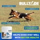 thumbnail image 4 of Suplemento Natural Para Perros Con 18 Vitaminas Y Minerales, 4 of 5