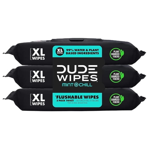 Flushable Wipes Dude, Paquete De 3, 144 Toallitas Mint Chill, Extra Grandes