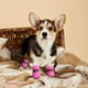 thumbnail image 2 of Botas Para Perros De Patas, Zapatos Antideslizantes De Cuatro Estaciones, Con Banda Reflectante, Para Perros Pequeños Y Medianos, Juego De Cuatro Piezas, Tamaño: 5 Yardas, 2 of 7