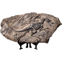 Dym - Fósil De Dinosaurio De Resina De Esqueleto