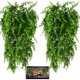thumbnail image 1 of Plantas Colgantes HERCOCCI para Terrario Reptiles 2 Pack 84 cm, 1 of 3