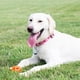 thumbnail image 4 of Juguete para perros Chuckit Air Fetch Ball XL para perros de más de 45 kg, 4 of 7