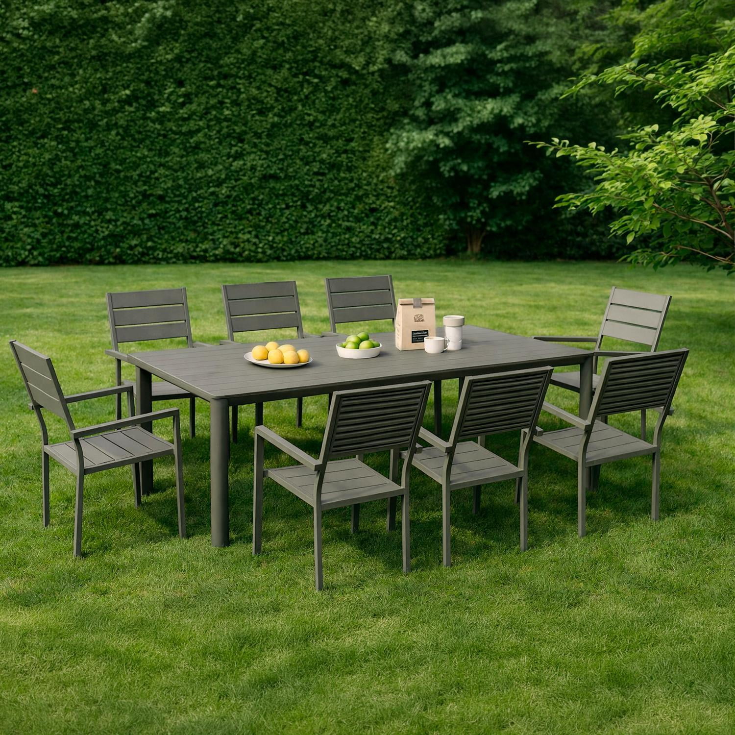 Juego Comedor Terraza 8 Personas Mesa 220x111cm Beige Northwest