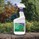 thumbnail image 4 of Regulador del crecimiento vegetal Bonide Sucker Punch en aerosol de 473 ml, 4 of 6