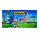 thumbnail image 1 of Sonic Fondo Temático Pancarta Suministros de Decoración para Fiesta de Cumpleaños, Decoración de Fondo de Fiesta Personalizado,150x90cm, 1 of 6
