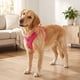 thumbnail image 3 of Arnés para Perro Vibrant Life M Rosa, Malla Reflectante 20 a 27 in, 3 of 3