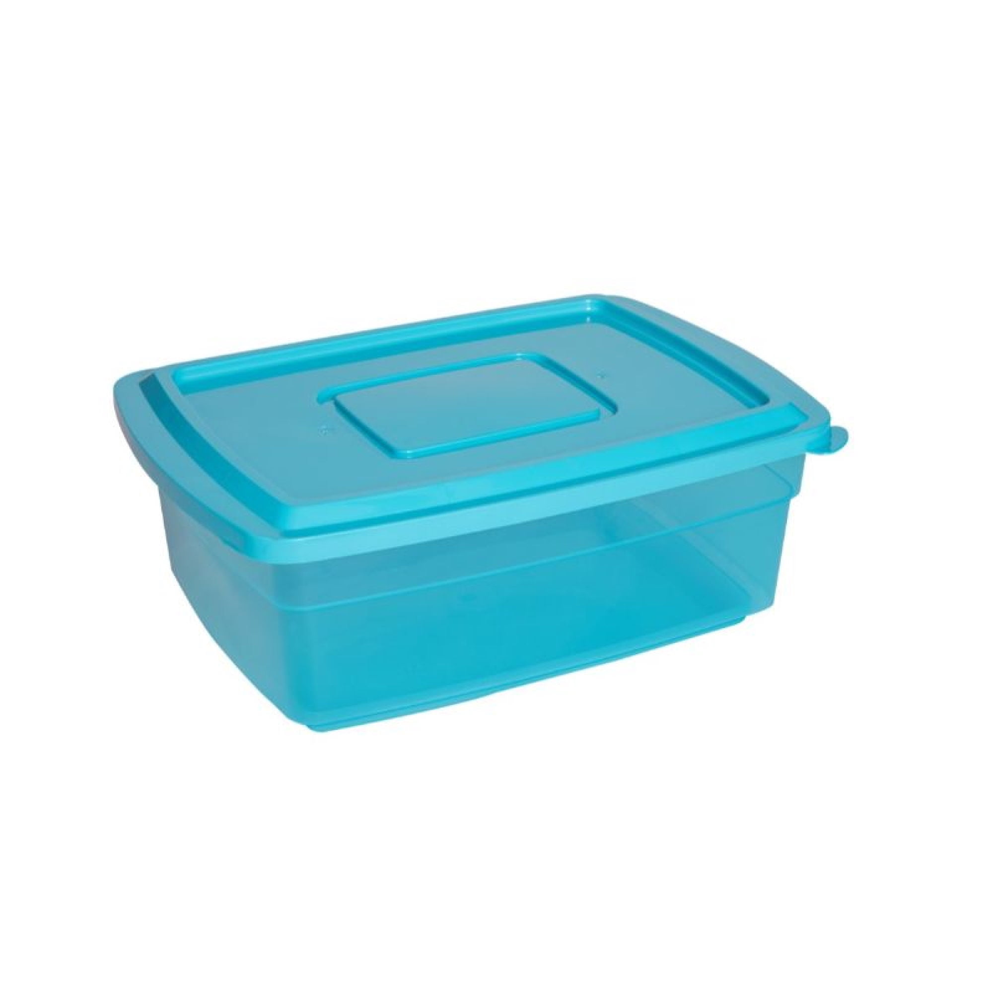 Caja Organizadora 20L Plástico Multicolor