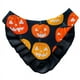 thumbnail image 1 of Bandana Disfraz de Halloween para Perros y Gatos Calabaza Glam XL, 1 of 3