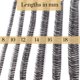 thumbnail image 4 of Extensiones de Pestañas Cintas de Pestañas LINX DIY Racimo N1 Rizo C 12mm, 4 of 5