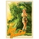 thumbnail image 1 of Fundas para cartas Fantasy North pack de 100 unidades 66 × 92 mm mate, 1 of 4