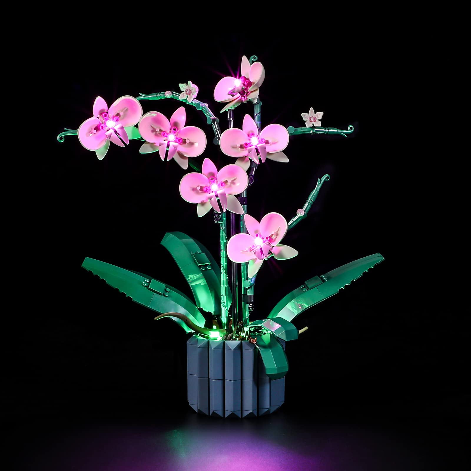 Kit De Iluminación Lightailing Para Bloques De Construcción Bloques 10311 Orchid