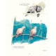 thumbnail image 4 of Las aves de nuestros jardines, ciudades y pueblos, 4 of 5