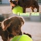 thumbnail image 4 of Pelota de tenis gigante para perros Banfeng 24 cm con aguja, 4 of 7