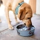 thumbnail image 5 of Cuencos para perros y gatos Loving Pets Bella de acero inoxidable azul, 5 of 7