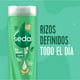 thumbnail image 2 of Shampoo Sedal Rizos Definidos, 340 ml, 2 of 5