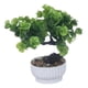 thumbnail image 2 of Set 2 Planta Artificial Inspiración Bonsái Decorativo Jhn, 2 of 3