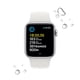 thumbnail image 4 of Apple Watch Se Plata 40Mm, 4 of 8