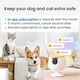 thumbnail image 2 of Cámara para mascotas Furbo Mini New + Nanny Bundle con Home Security, 2 of 7