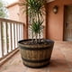 thumbnail image 3 of Macetero Plastico Diseño Efecto Barril De Madera Maceta XL, 3 of 8