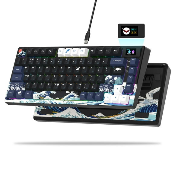 Teclado XVX S-K80 75% OLED RGB