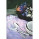 thumbnail image 5 of Juego de cubiertos de 48 piezas Tramontina Mônaco de acero inoxidable con cuchillos de mesa forjados, 5 of 5