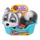 thumbnail image 1 of Little Live Pets Cachorro Mini Husky Aurora, 1 of 7